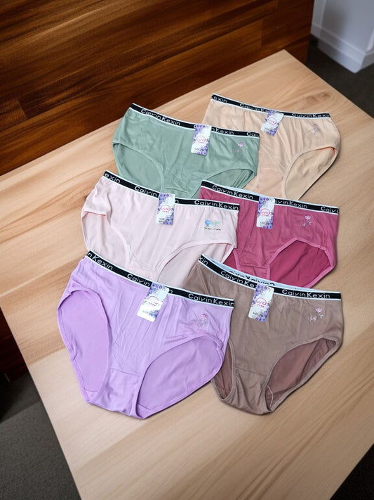 High waist panty 6 pieces