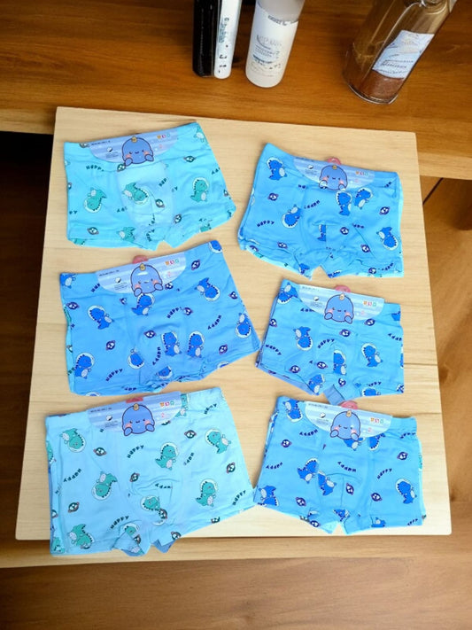 بوكسر ولادي مرسم 6 قطع