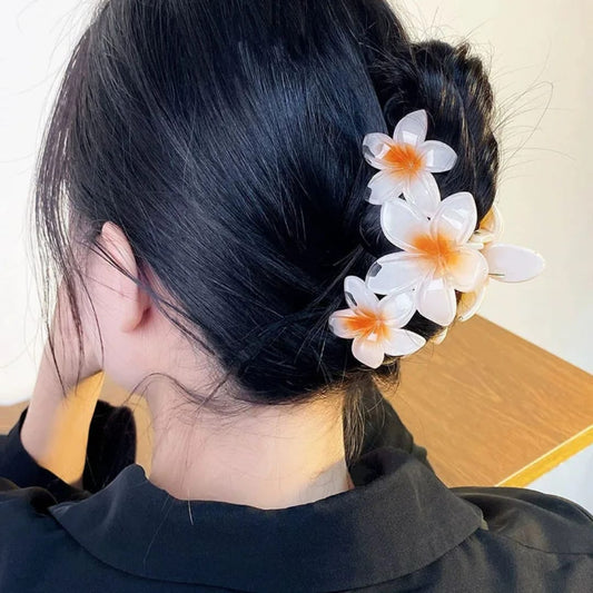 مشبك شعر الوان مميزة